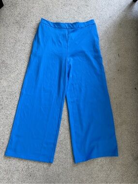 High-Rise Wide Leg Pants in Bright Blue
